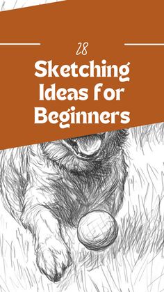 a drawing of a dog with the title'28 sketching ideas for beginners '