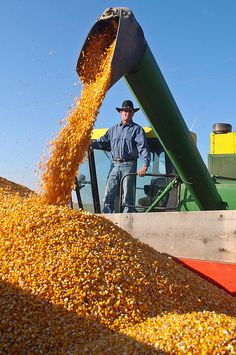 a man standing in front of a tractor pouring corn