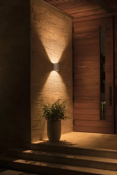 a plant is lit up on the steps in front of a door with a light coming from it