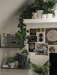 there is a computer on the desk with many pictures and plants around it in this room