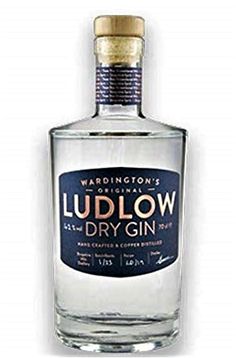 a bottle of ludlow dry gin on a white background