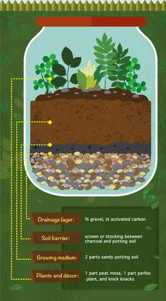 an info poster showing how to grow plants in a glass jar with soil and rocks