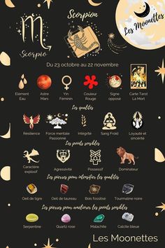 a poster with different types of zodiac signs and their corresponding names in french, english or spanish