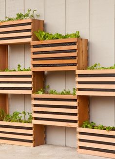 several wooden planters with plants growing in them on the side of a building wall