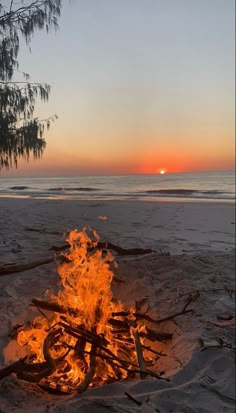 a campfire on the beach with sunset in the background and some branches sticking out