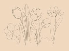 some flowers are drawn in pencil on a beige background