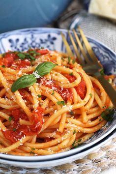 a plate of spaghetti with tomato sauce and parmesan cheese on the side next to a fork