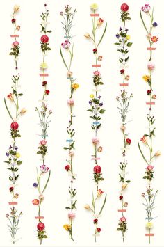 Flower Garland Wall Mural by Eijffinger for Brewster Home Fashions Diy Flower Wall, Diy Backsplash, Flower Garland, Pip Studio, Flower Garlands, Flower Wall Decor, Burke Decor, Designers Guild, Flower Beauty