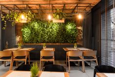 a restaurant with wooden tables and chairs, plants on the wall behind them in front of windows