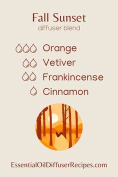 The Fall Sunset essential oil diffuser blend contains orange, vetiver, frankincense, and cinnamon essential oils. Sweet Orange Essential Oil Blends, Cinnamon Orange Essential Oil Blend, Doterra Wild Orange Diffuser Blends, Orange Essential Oil Young Living, Orange Clove Essential Oil Blend, Orange Essential Oil Blends, Pot Potpourri, Essential Oil Blends Roller