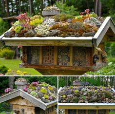 several different pictures of a bird house with plants growing out of the top and bottom