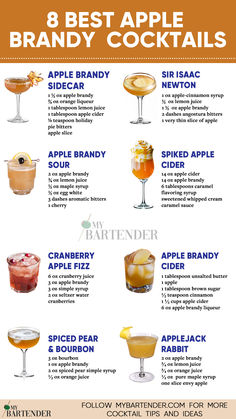 8 Best Apple Brandy Cocktails Apple Brandy Drinks, Cocktails With Brandy, Apple Brandy Recipe, Sparkling Apple Cider Cocktail, Brandy Drink Recipes, Brandy Cocktail Recipes, Apple Brandy Cocktail, Old Fashioned Recipes Cocktail, Brandy Drinks