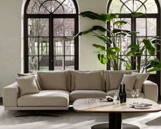 a living room filled with lots of furniture next to large windows and potted plants