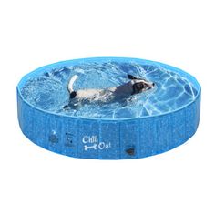 a dog swimming in a pool with the words chill out on it's side