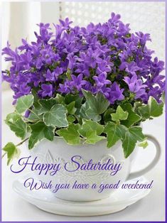 purple flowers are in a white cup with green leaves on the rim and words happy saturday wish you have a good weekend