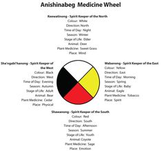 an info sheet with the names and colors of different medical items on it, including