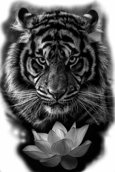 a black and white photo of a tiger with a flower in front of its face