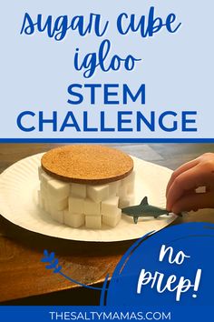 Sugar Cube Igloos for Preschool Polar Animals Theme – The Salty Mamas Stem Igloo, Preschool Polar Animals, Letter I Activities, Winter Stem Challenges, Igloo Building, Stem Challenge, Polar Animals, Stem For Kids, Sugar Cubes