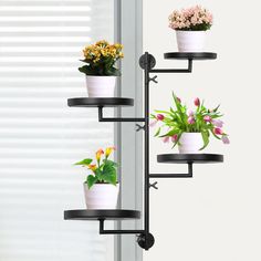 three potted plants are sitting on black shelves