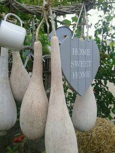 some white gourds hanging from a wire with a sign that says home sweet home