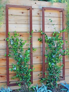 a wooden fence with plants growing on it