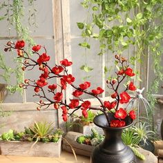 Please Click Here For More Special Offers! ! ! Artificial Silk Fake Flowers Plum Blossom Floral Wedding Bouquet Party Decor Red Description Lifelike artificial flower that remains just as fresh-looking and beautiful year after year. Stem with steel wire; easy to bend and adjust as required. The stem can be shortened by means of cutting pliers. The flowers easy to clean. Perfect for decorating wedding party, your home and garden decoration,office,coffee house and so on. Condition: Brand New Mater Cherry Blossom Branches, Red Cherry Blossom, Cherry Blossom Branch, Artificial Silk Flowers, Family Decor, Peach Flowers, Flower Branch, Peach Blossoms, Plastic Flowers