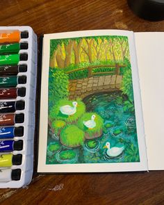 an artist's watercolor and ink set with two ducks in the pond