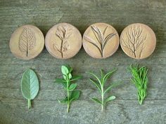 four different types of herbs are shown in this set of three stone coasters on a wooden surface