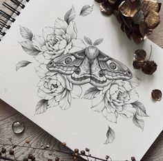 a drawing of a moth with flowers on the table next to some leaves and petals