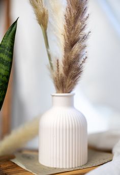 a plant in a white vase sitting on a table