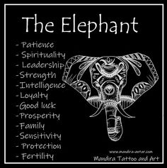 an elephant with the words the elephant written below it