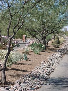 the road is lined with rocks and trees