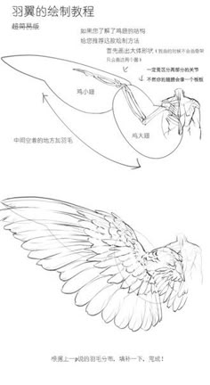 the instructions for how to draw a bird with wings and tail feathers are drawn in chinese