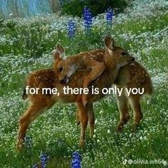 two baby deers cuddle together in a field with blue flowers and the words for me, there is only you