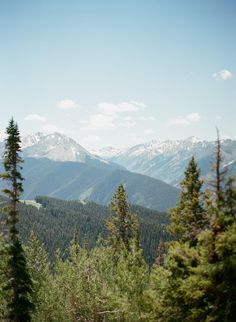 the mountains are covered with snow and trees in the foreground is a forest filled with evergreens