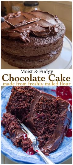 whole wheat chocolate cake made with freshly milled flour Freshly Milled Sourdough, Fresh Milled Spelt Recipes, Fresh Milled Flour Cake Recipes, Fresh Milled Flour Cupcakes, Fresh Milled Chocolate Chip Cookies, Fresh Ground Wheat Recipes, Home Milled Flour Recipes