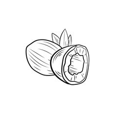 a drawing of a nut shell on a white background