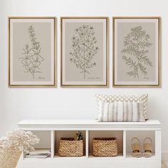 three framed botanical prints on a wall above a white bench with two baskets underneath it