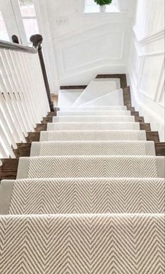 some white stairs with carpet on them