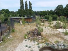 an outdoor area with trees and rocks in the foreground, fenced off by a chain link fence