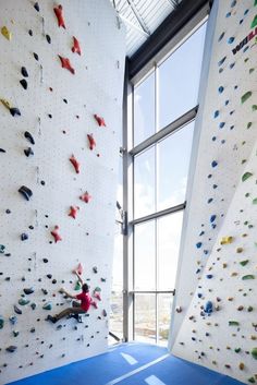 an indoor climbing wall in a gym