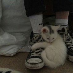 a cat sitting on top of a pair of black and white shoes next to someone's legs