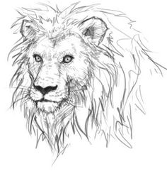 a drawing of a lion's face