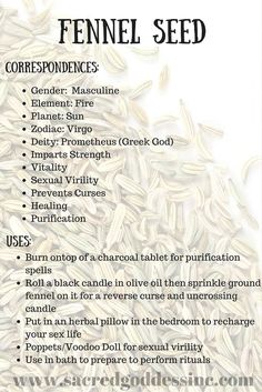 Herb Correspondences, Fennel Seeds