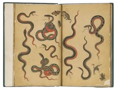 an open book with two snakes on the pages and one snake in the middle, surrounded by smaller snakes