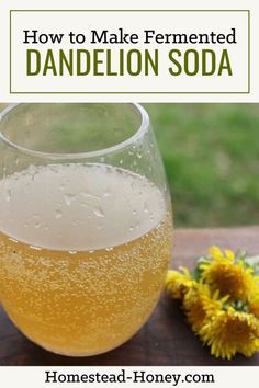 a glass of dandelion soda sitting on top of a wooden table