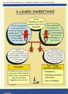 an image of a diagram showing the differences between x - linked inferfance