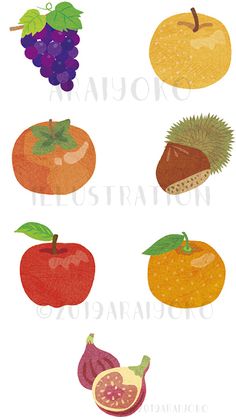 an illustration of different fruits and vegetables on a white background, including oranges, apples, grapes, pears, and pomegranate