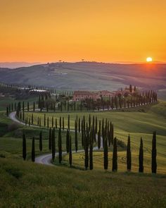 the sun is setting over an italian countryside with trees and rolling hills in the distance