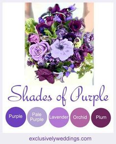 the purple wedding bouquet is displayed in an instagramture on their iphone screen, with text that reads shades of purple